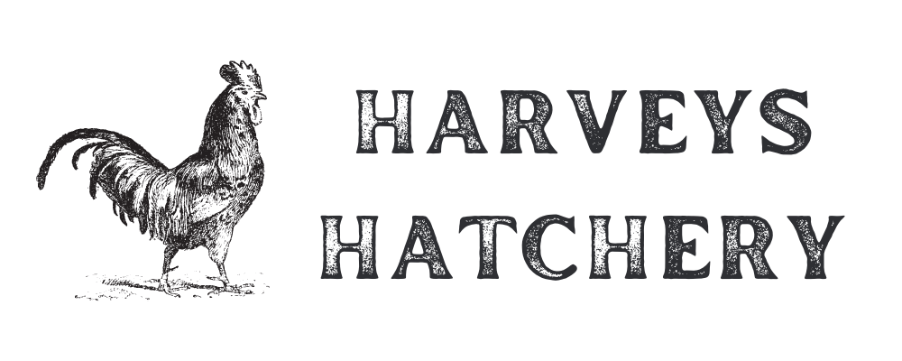 Harveys Hatchery